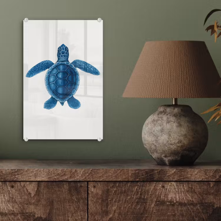 Glas schilderij - Schildpad - Blauw - Schild — 4