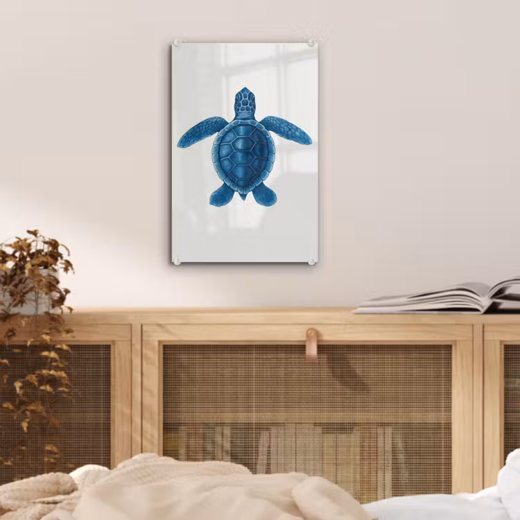 Glas schilderij - Schildpad - Blauw - Schild — 5
