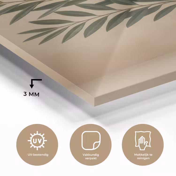 Glas schilderij - Vaas - Olijftakken - Bladeren - Beige — 3
