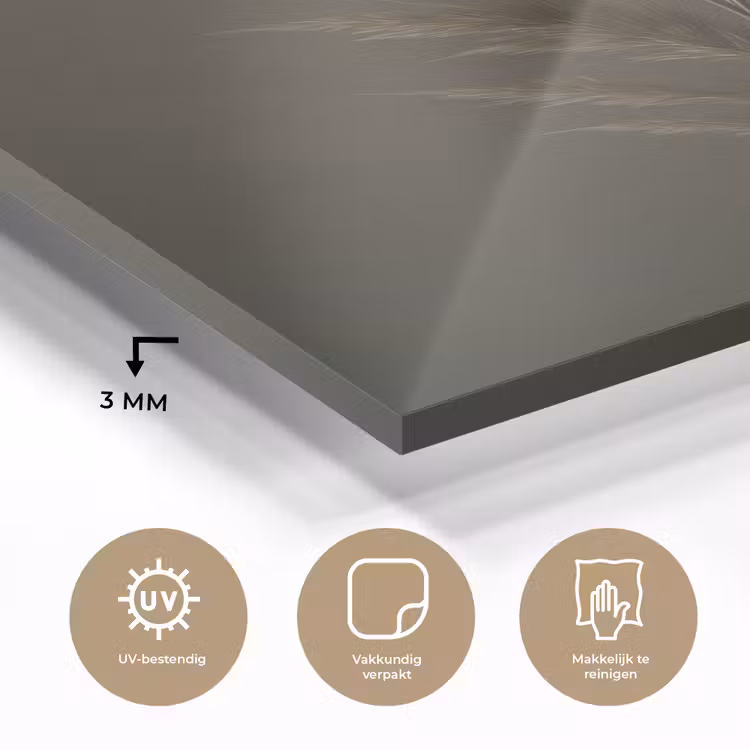Glas schilderij - Tak - Pluimgras - Donkerbruin — 3