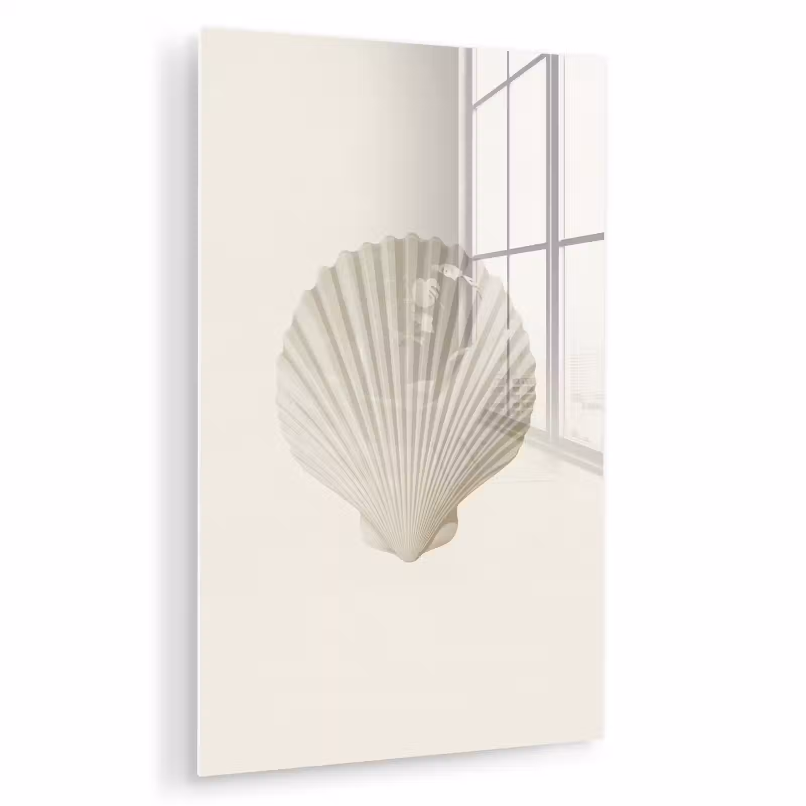 Glas schilderij - Schelp - Minimalistisch - Wit — 1
