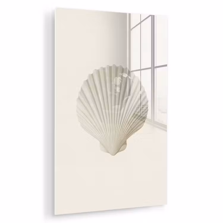 Glas schilderij - Schelp - Minimalistisch - Wit — 1