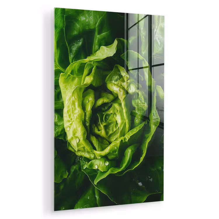 Glas schilderij - Groente - Sla - Groen — 1