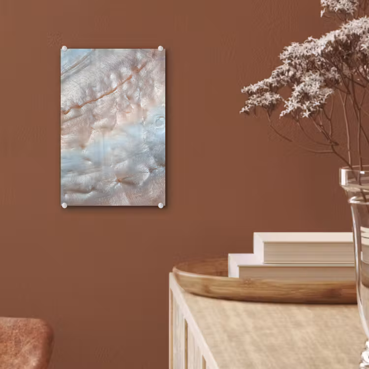 Glas schilderij - Schelpen - Abstract - Natuur — 5