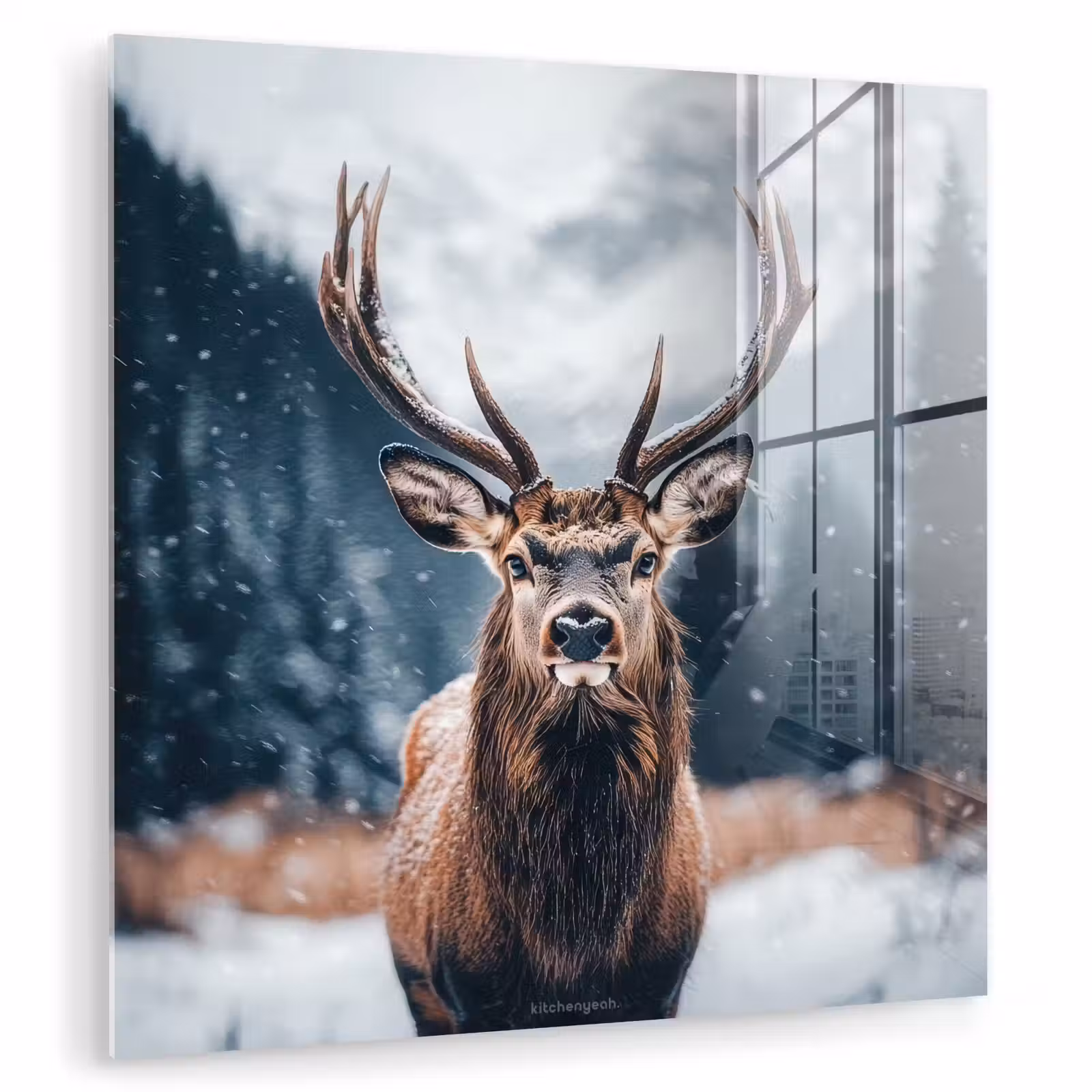 Glas schilderij - Hert - Winter - Hertenkop - Sneeuw - Gewei — 1
