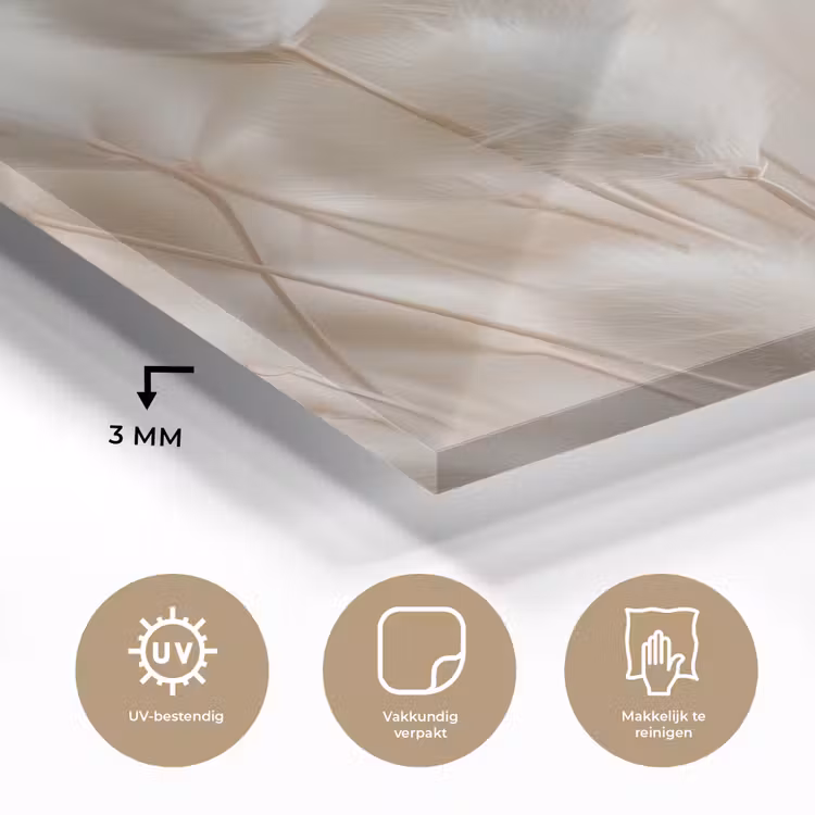 Glas schilderij - Pluimen - Beige - Minimalistisch — 3