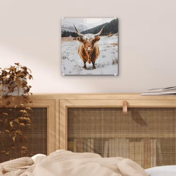 Glas schilderij - Schotse Hooglander - Sneeuw - Winter - Dieren — 5