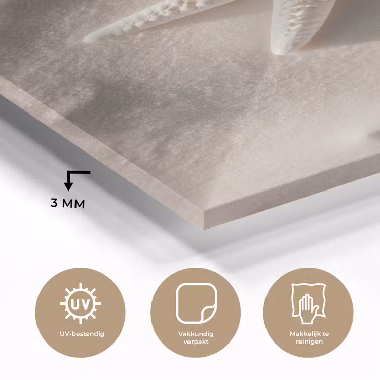 Glas schilderij - Strand - Zeester - Zand - Beige — 3