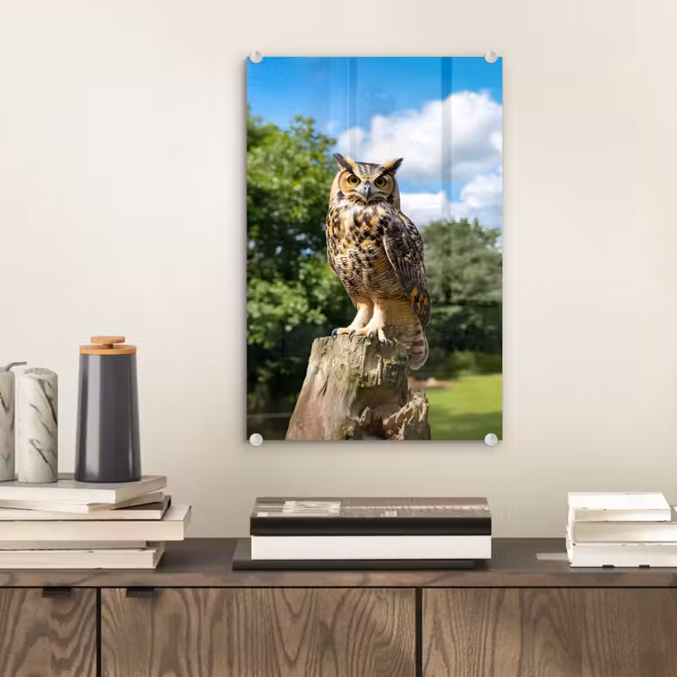 Glas schilderij - Uil - Boomstronk - Bos - Lucht — 2