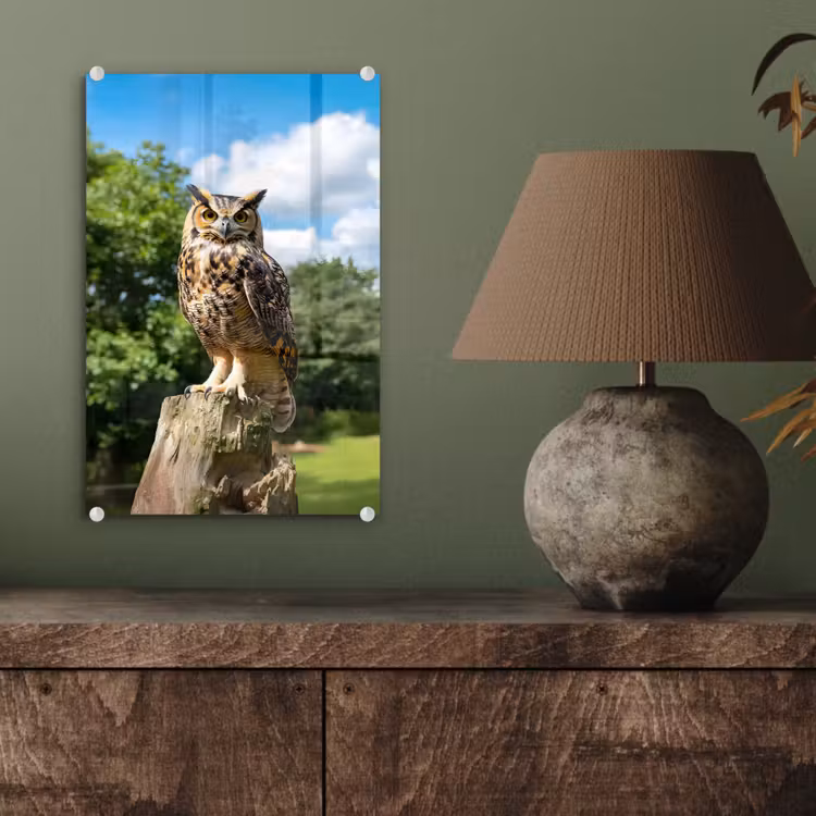 Glas schilderij - Uil - Boomstronk - Bos - Lucht — 4