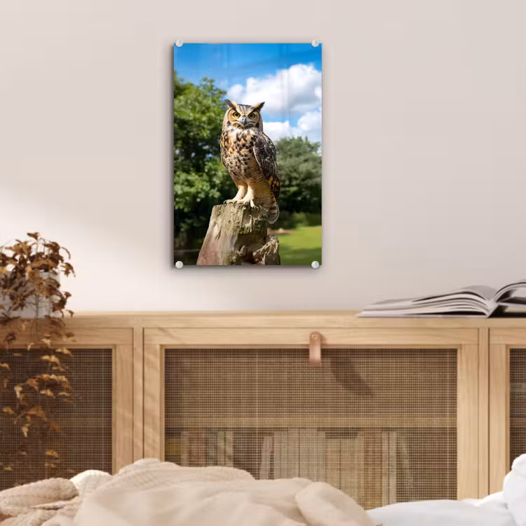 Glas schilderij - Uil - Boomstronk - Bos - Lucht — 5