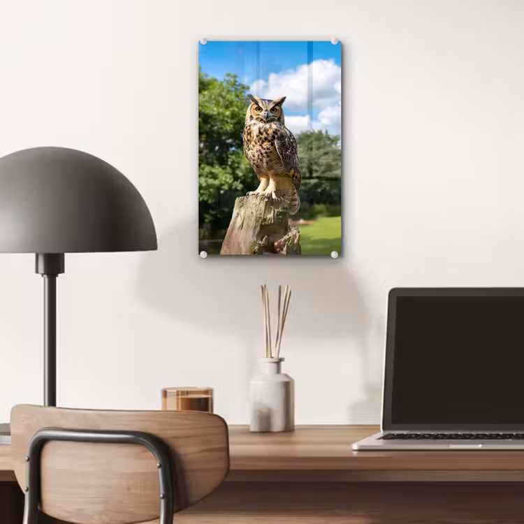 Glas schilderij - Uil - Boomstronk - Bos - Lucht — 7
