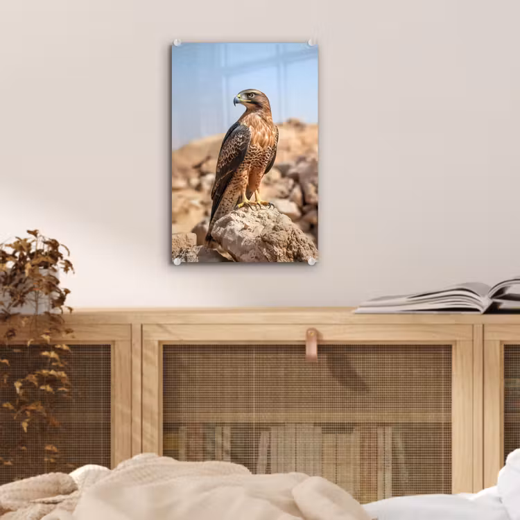 Glas schilderij - Valk - Vogel - Rots - Macht — 5