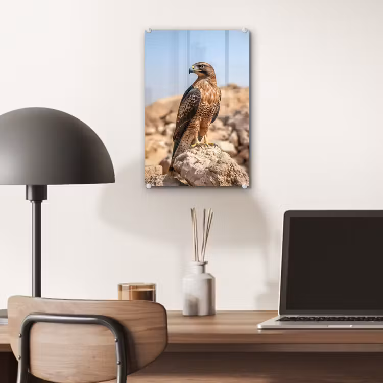 Glas schilderij - Valk - Vogel - Rots - Macht — 7