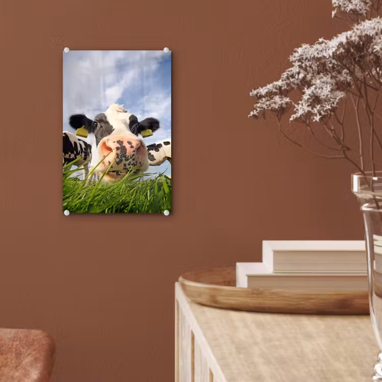 Glas schilderij - Koe - Boerderij - Gras - Dieren — 5