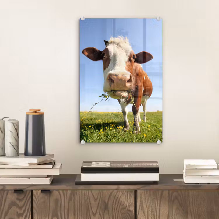 Glas schilderij - Koe - Dieren - Bloemen - Gras — 1
