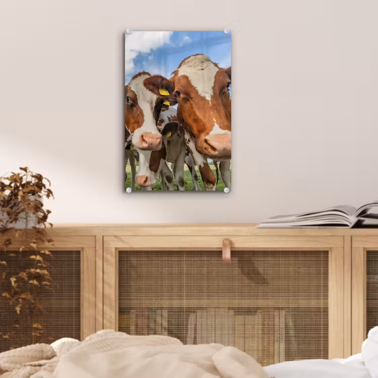 Glas schilderij - Koeien - Dieren - Weiland - Natuur — 4