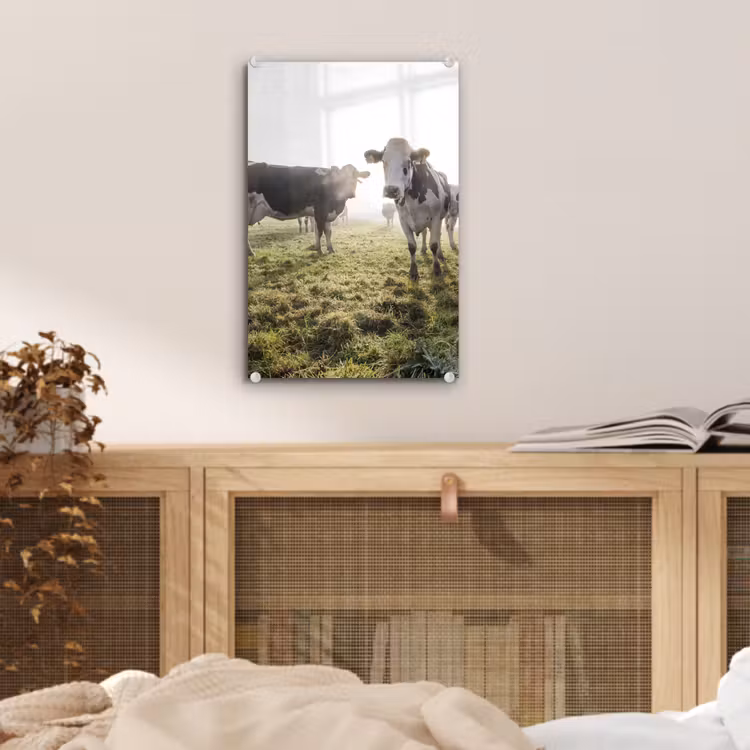 Glas schilderij - Koeien - Licht - Gras - Dieren — 4