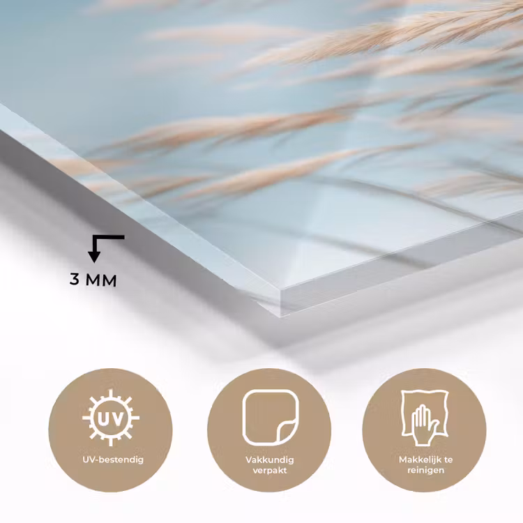 Glas schilderij - Siergras - Wind - Lichtbruin — 3