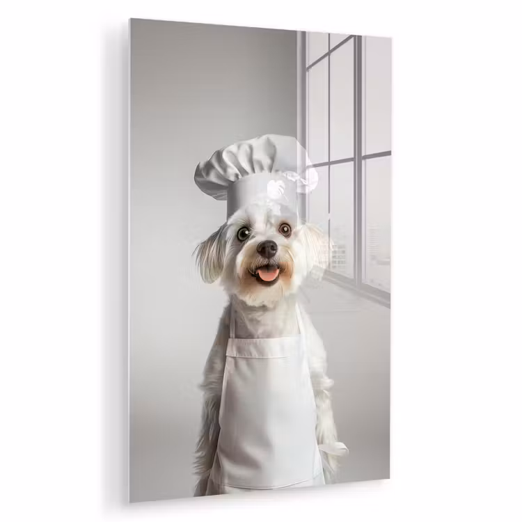 Glas schilderij - Hond - Wit - Kok — 1