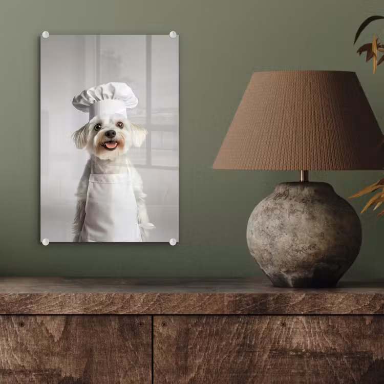 Glas schilderij - Hond - Wit - Kok — 4