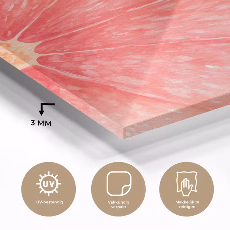 Glas schilderij - Grapefruit - Roze - Levendig — 3