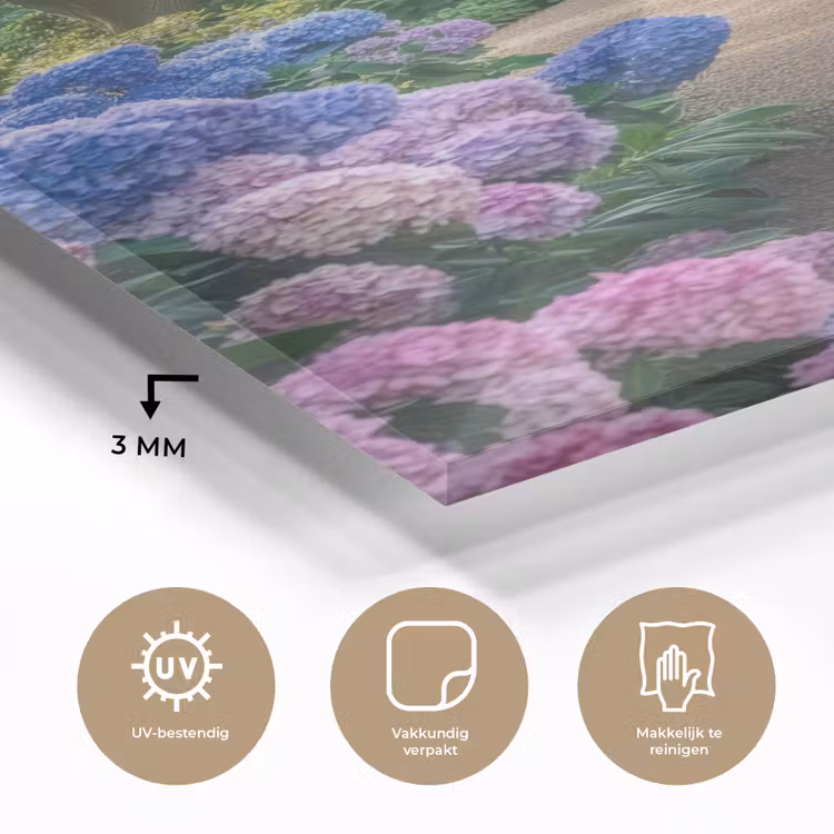 Glas schilderij - Hortensia- Park - Pad — 3