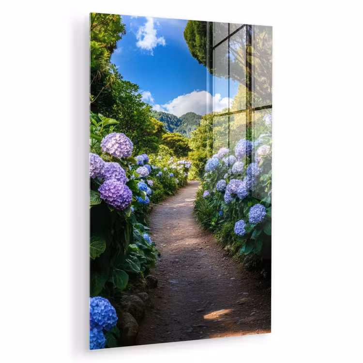 Glas schilderij - Hortsensia - Pad - Bloemen — 1