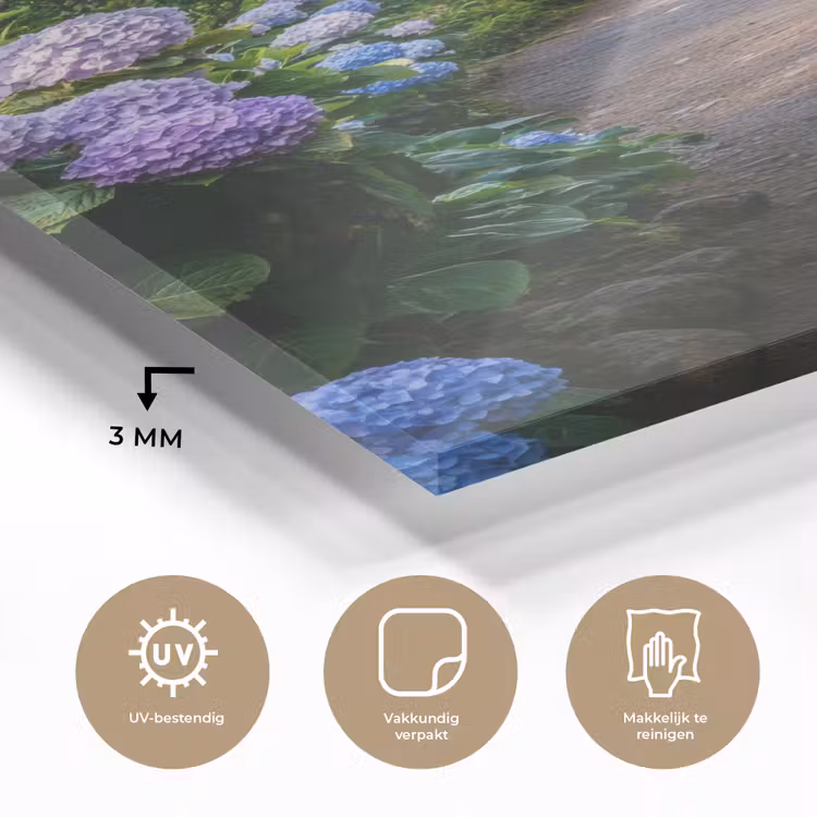 Glas schilderij - Hortsensia - Pad - Bloemen — 3