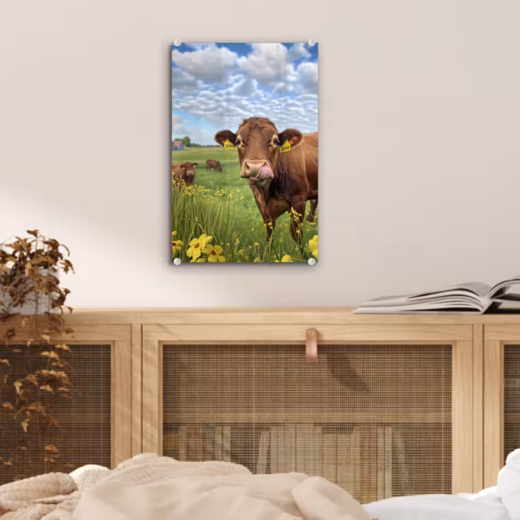 Glas schilderij - Koe - Weide - Bloemen — 5