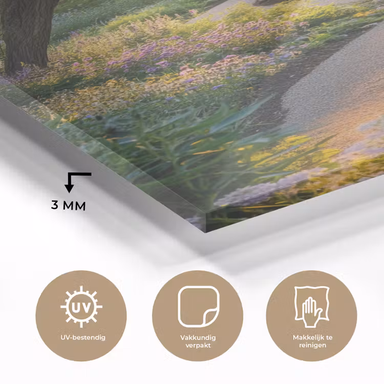 Glas schilderij - Pad - Bloemen - Park — 3