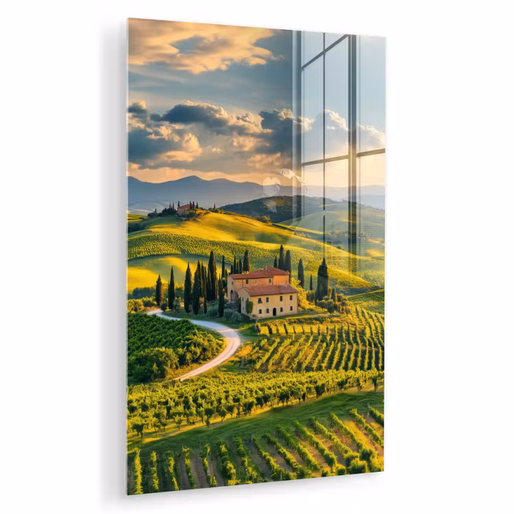 Glas schilderij - Toscane - Landschap - Wijngaarden — 1
