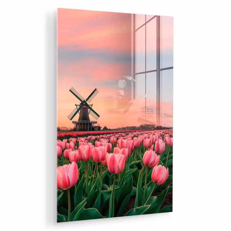 Glas schilderij - Tulpen - Molen - Nederland — 1