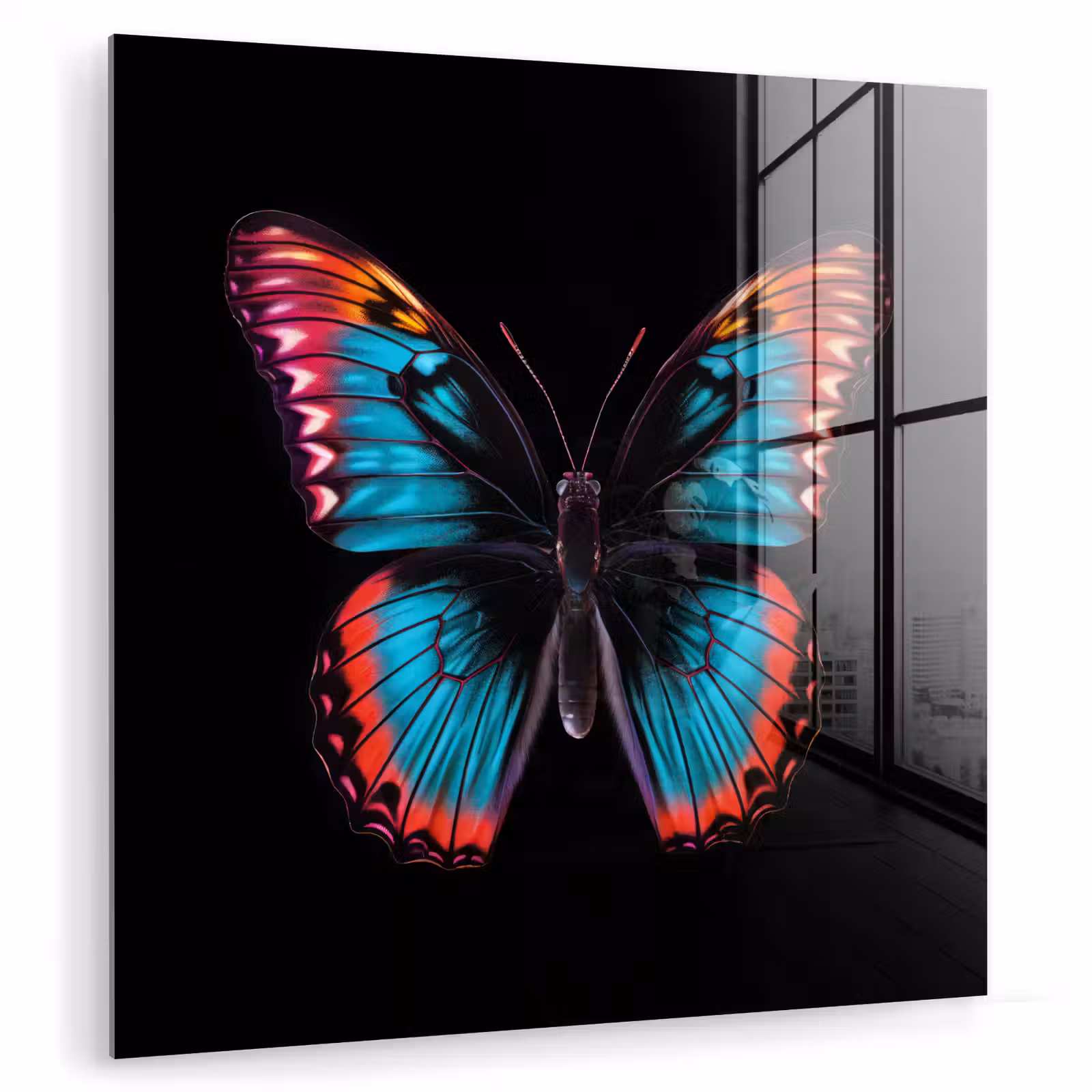 Glas schilderij - Vlinder - Kleuren - Dier - Zwart — 1