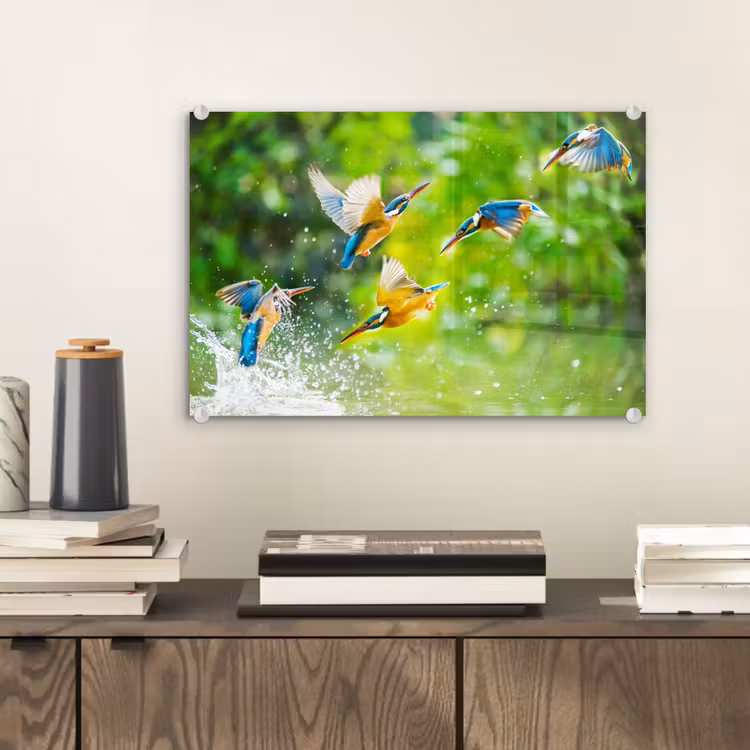 Glas schilderij - IJsvogels vliegen in het water — 1