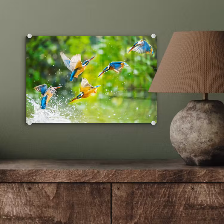 Glas schilderij - IJsvogels vliegen in het water — 3