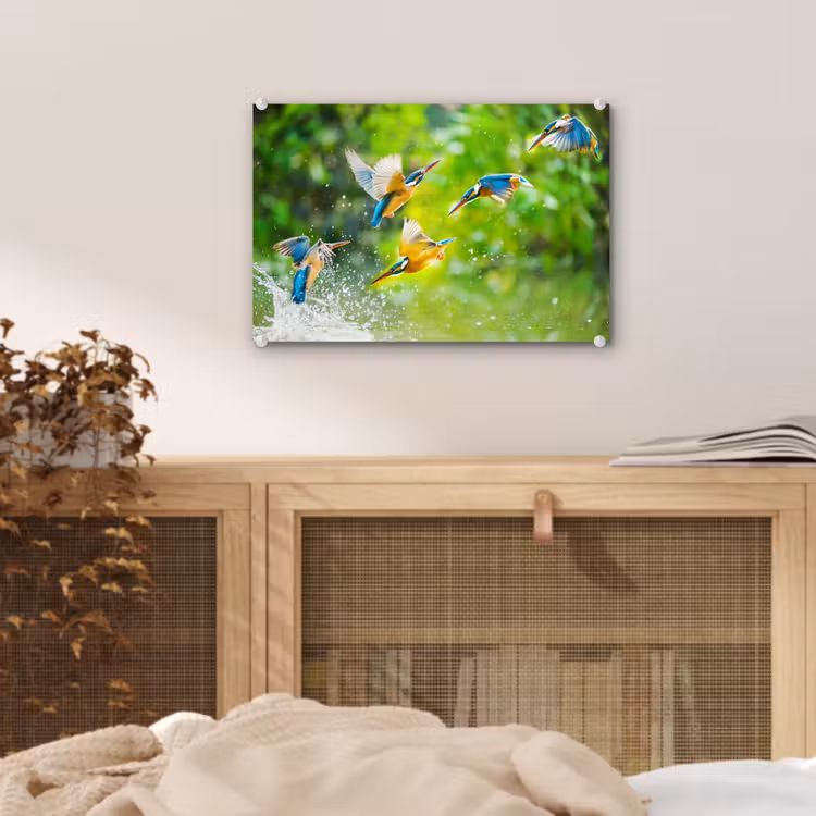 Glas schilderij - IJsvogels vliegen in het water — 4