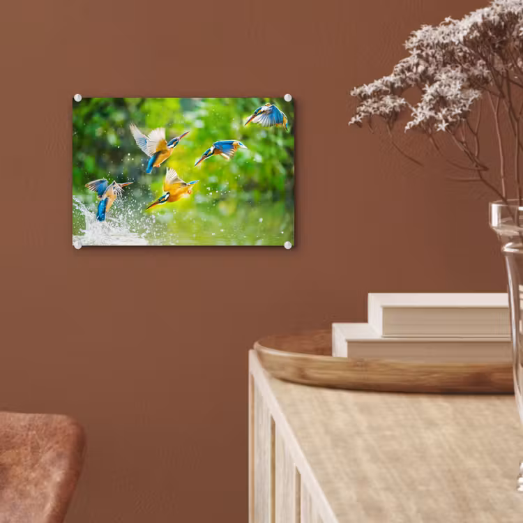 Glas schilderij - IJsvogels vliegen in het water — 5