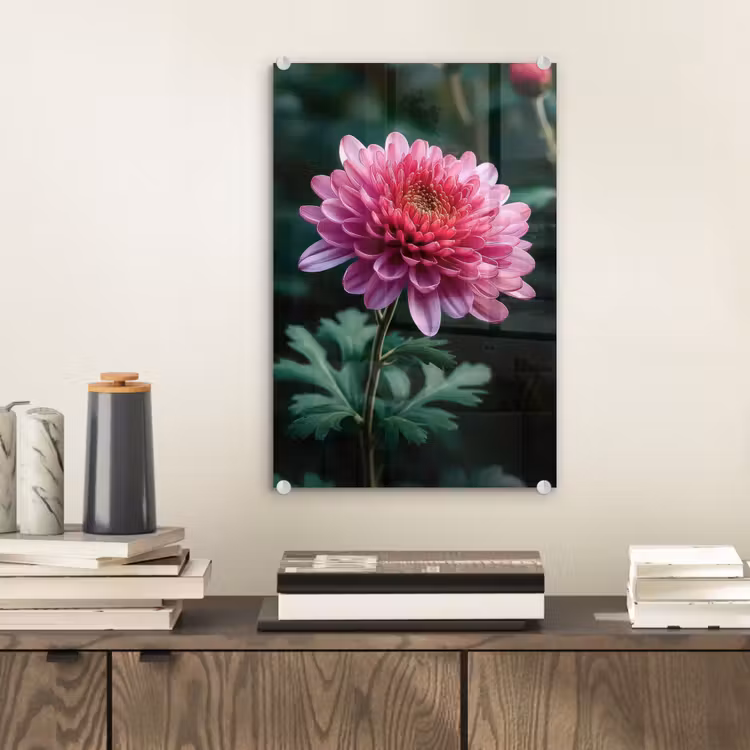 Glas schilderij - Blad - Chrysant - Roze - Schaduw — 2