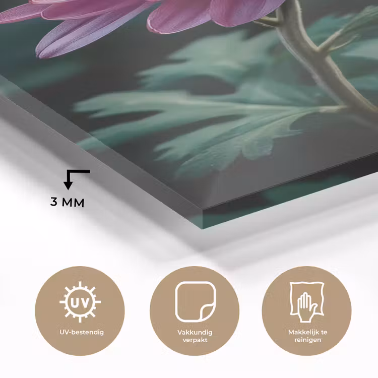 Glas schilderij - Blad - Chrysant - Roze - Schaduw — 3