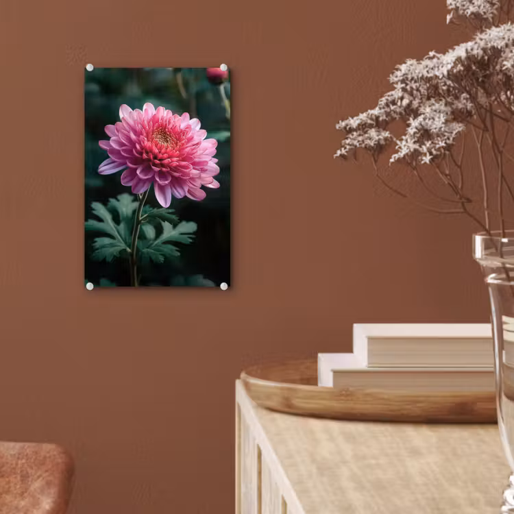 Glas schilderij - Blad - Chrysant - Roze - Schaduw — 6