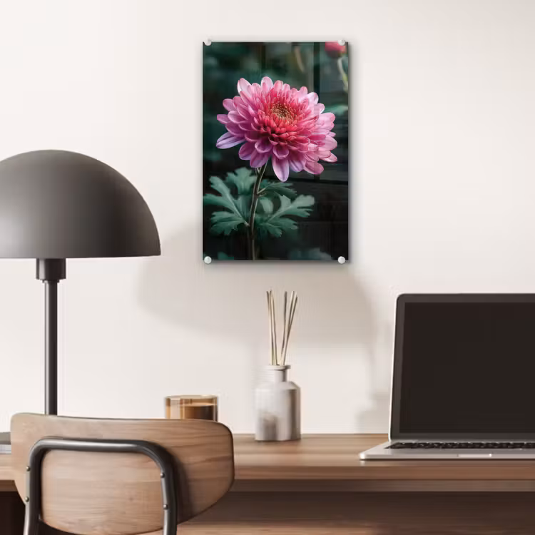 Glas schilderij - Blad - Chrysant - Roze - Schaduw — 7