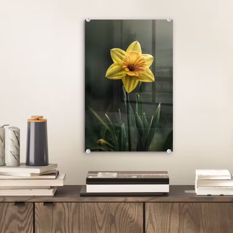 Glas schilderij - Bloem - Narcis - Gras - Geel — 2