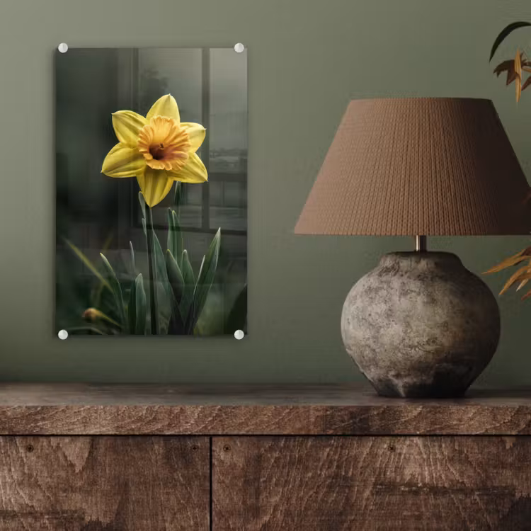 Glas schilderij - Bloem - Narcis - Gras - Geel — 4