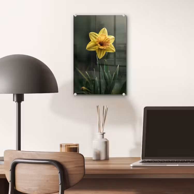 Glas schilderij - Bloem - Narcis - Gras - Geel — 7