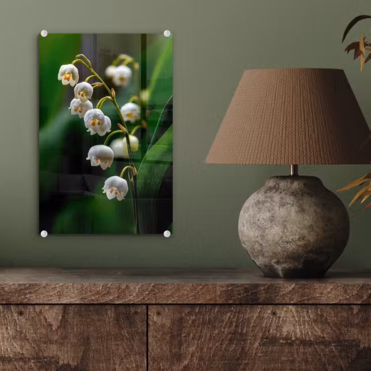 Glas schilderij - Bloemen - Wit - Bladeren - Lelietjes — 4