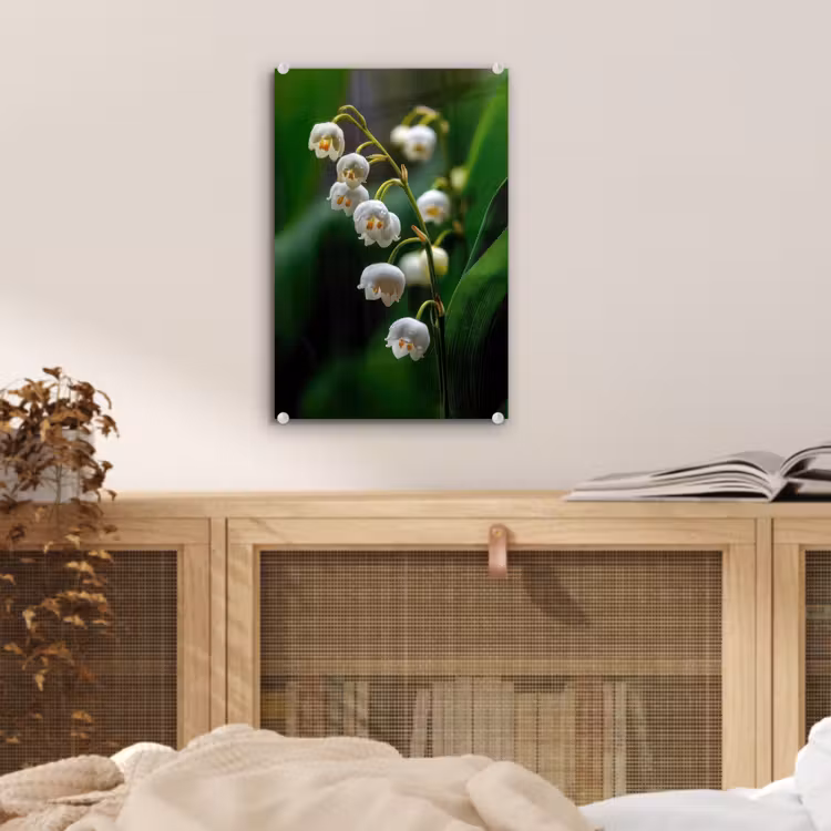 Glas schilderij - Bloemen - Wit - Bladeren - Lelietjes — 5