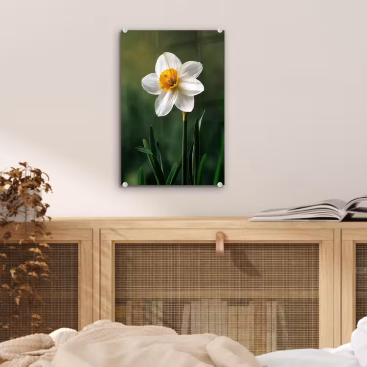 Glas schilderij - Narcis - Bloem - Wit - Grassprieten — 5