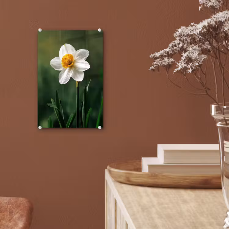 Glas schilderij - Narcis - Bloem - Wit - Grassprieten — 6