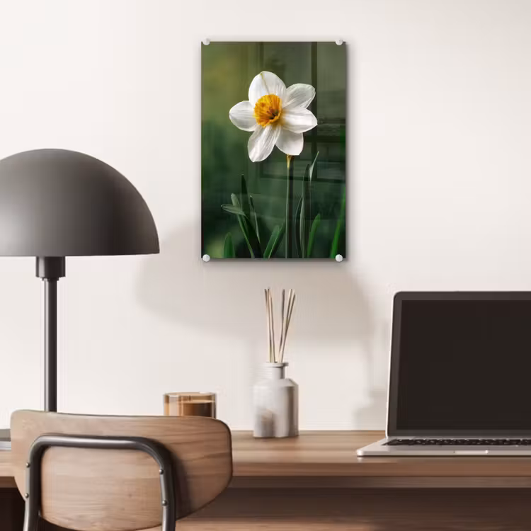Glas schilderij - Narcis - Bloem - Wit - Grassprieten — 7